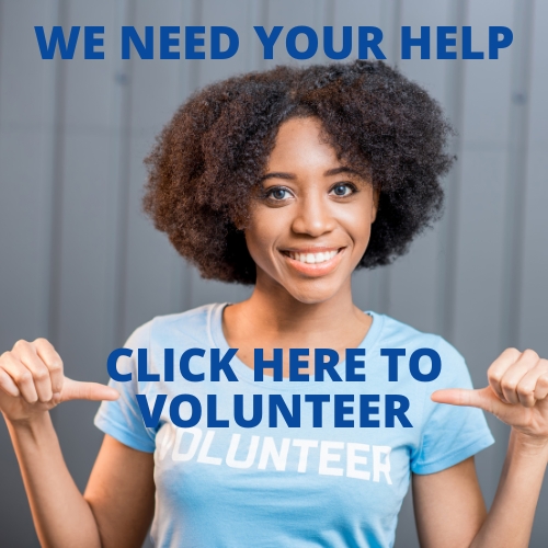 CLICK HERE TO VOLUNTEER